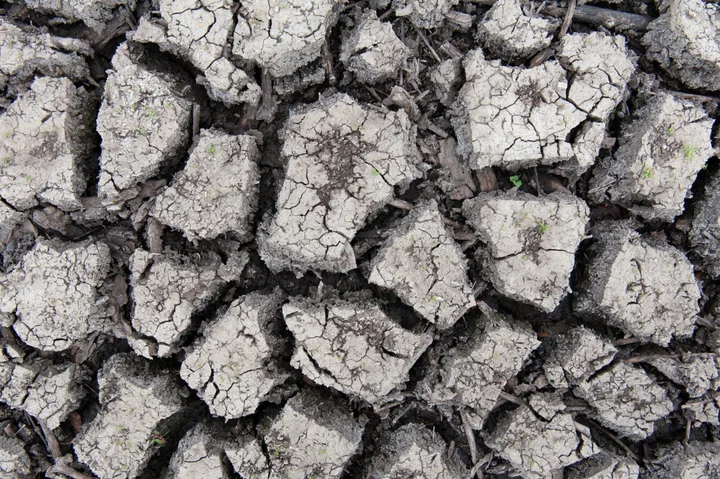 Water Plants Turn Salty Due to Low Mississippi: Weather Watch