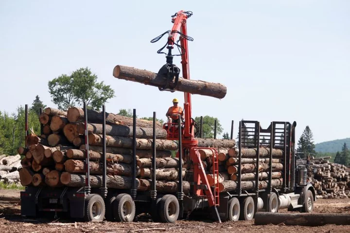 Analysis-Canadian wildfires shutter sawmills, drive up lumber prices