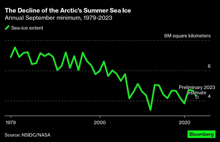 Baby Polar Bears Can’t Get Enough Milk When Sea Ice Disappears