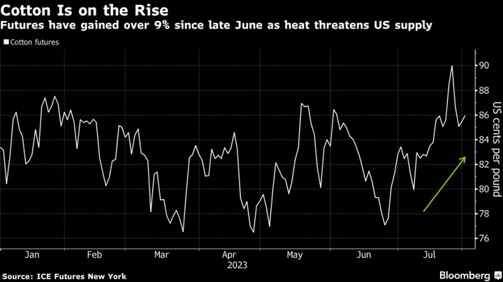 Cotton Extends Gains as Extreme Heat Threatens US Supply