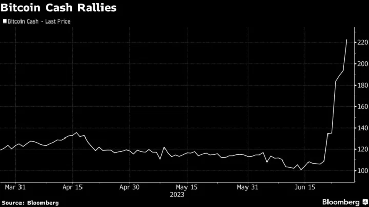 Bitcoin Offshoot Has More Than Doubled Over The Last Week