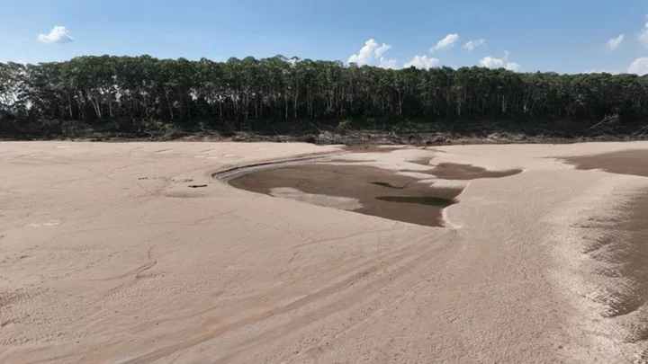 Brazil sets up task force for unprecedented drought in Amazon -minister