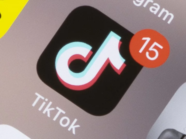 TikTok takes on Elon Musk’s X with text-only posts