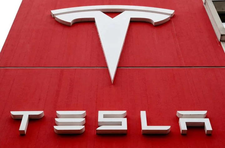 Tesla shows interest in Sunrise New Energy's battery components