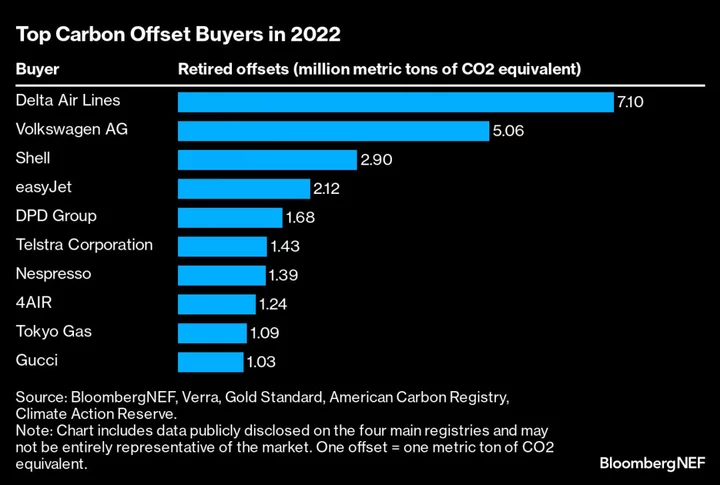 Popular Carbon Credits Fail to Offset Emissions, Probe Shows