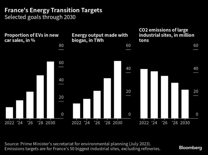 France Plans to Curb Power Prices to Boost Green Investment