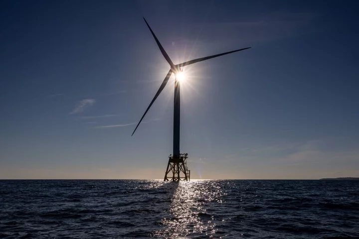 Canada Urged to Get Ambitious to Harness Offshore Wind Potential