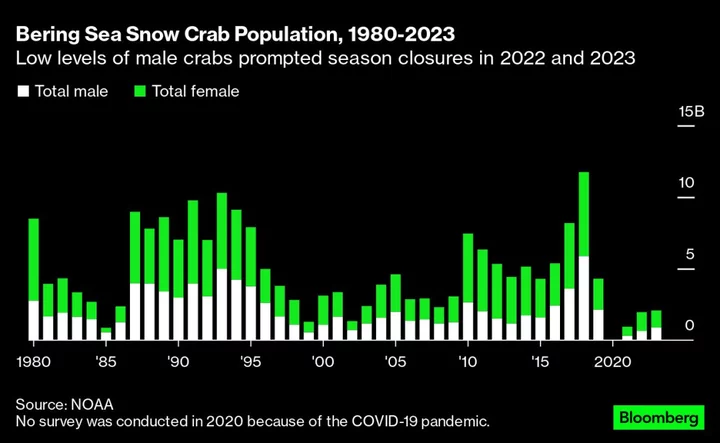 Alaska Shuts Down Its Snow Crab Harvest for the Second Year in a Row