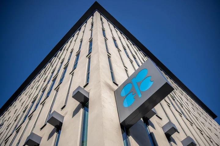 OPEC Seeks to Expand Legal Team for Energy Transition Challenge