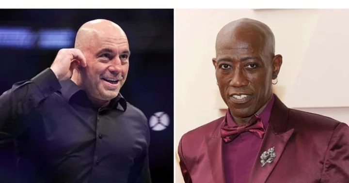 Joe Rogan: When Wesley Snipes backed out of fight with commentator, 'I was going to choke f**king life out of him'