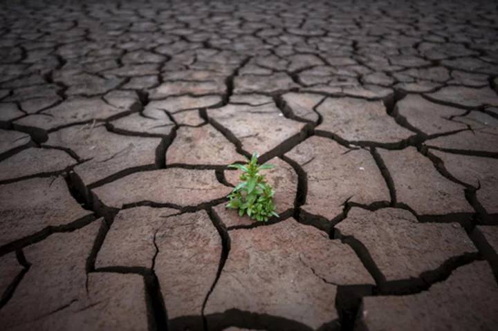 Amid row over 'drought berries,' German lawmakers cancel trip to southern Spain