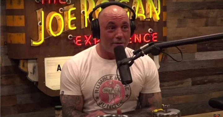 Joe Rogan explains how 'first check from Disney' changed his financial status: 'I grew up poor'