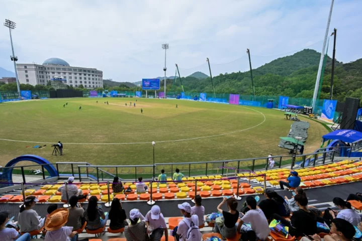 Leather, willow and sunflowers: China gets to grip with cricket
