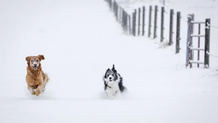 Snow hits northern Cascades and Rockies in the first major storm of the season after a warm fall