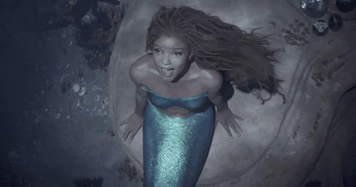 The Pain of Being a Mermaid: Halle Bailey endured hell to deliver the performance of a lifetime