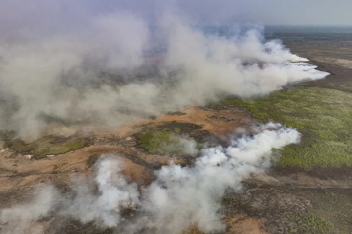 Fires in Brazil threaten jaguars, houses and plants in the world's largest tropical wetlands