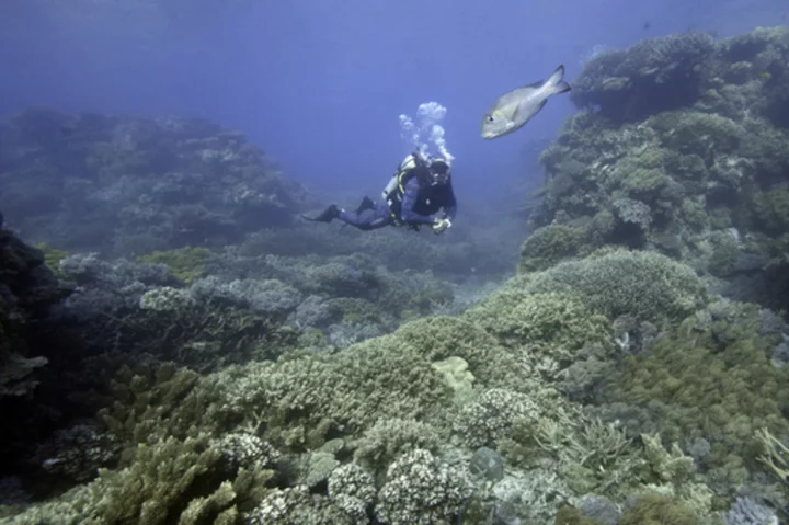 Australia welcomes lifting of UNESCO threat to list Great Barrier Reef as World Heritage in danger