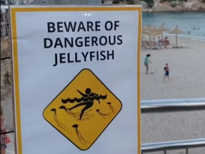 Fake signs warning of falling rocks and jellyfish put up on Balearic beaches to deter tourists