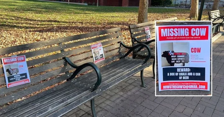 Internet fumes as missing cow posters ridiculing murdered and kidnapped Israelis spotted across UPenn campus