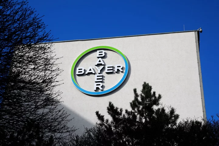 Bayer Plunges on Drug Setback, $1.5 Billion Roundup Verdict