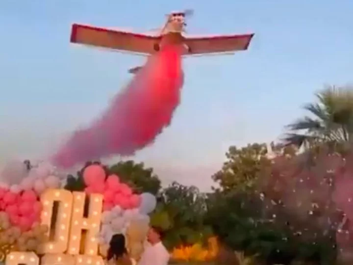 Pilot dies after plane crashes during gender reveal party in Mexico