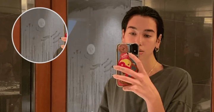 What's wrong with Dua Lipa's bathroom? Background of X-rated selfie sends fans into a tizzy