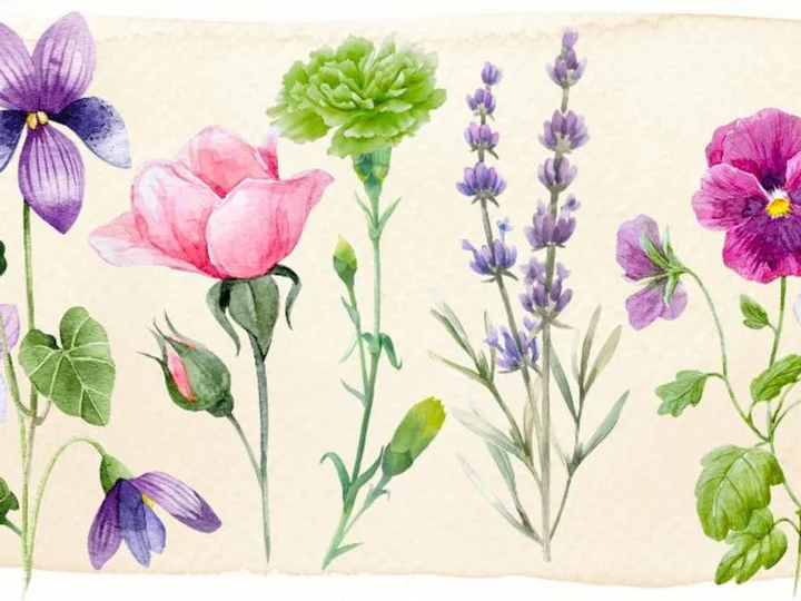 The secret queer history of flowers