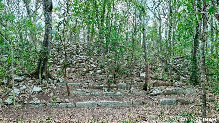 Maya civilisation: Archaeologists find ancient city in jungle